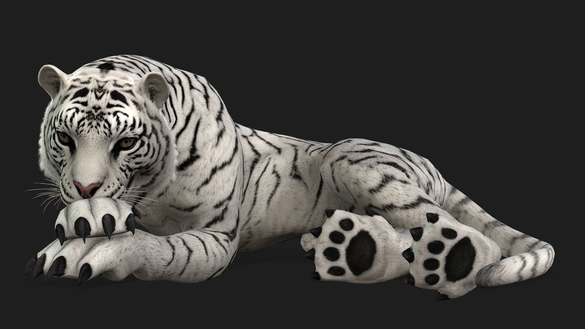 Tiger A2 3D model_17