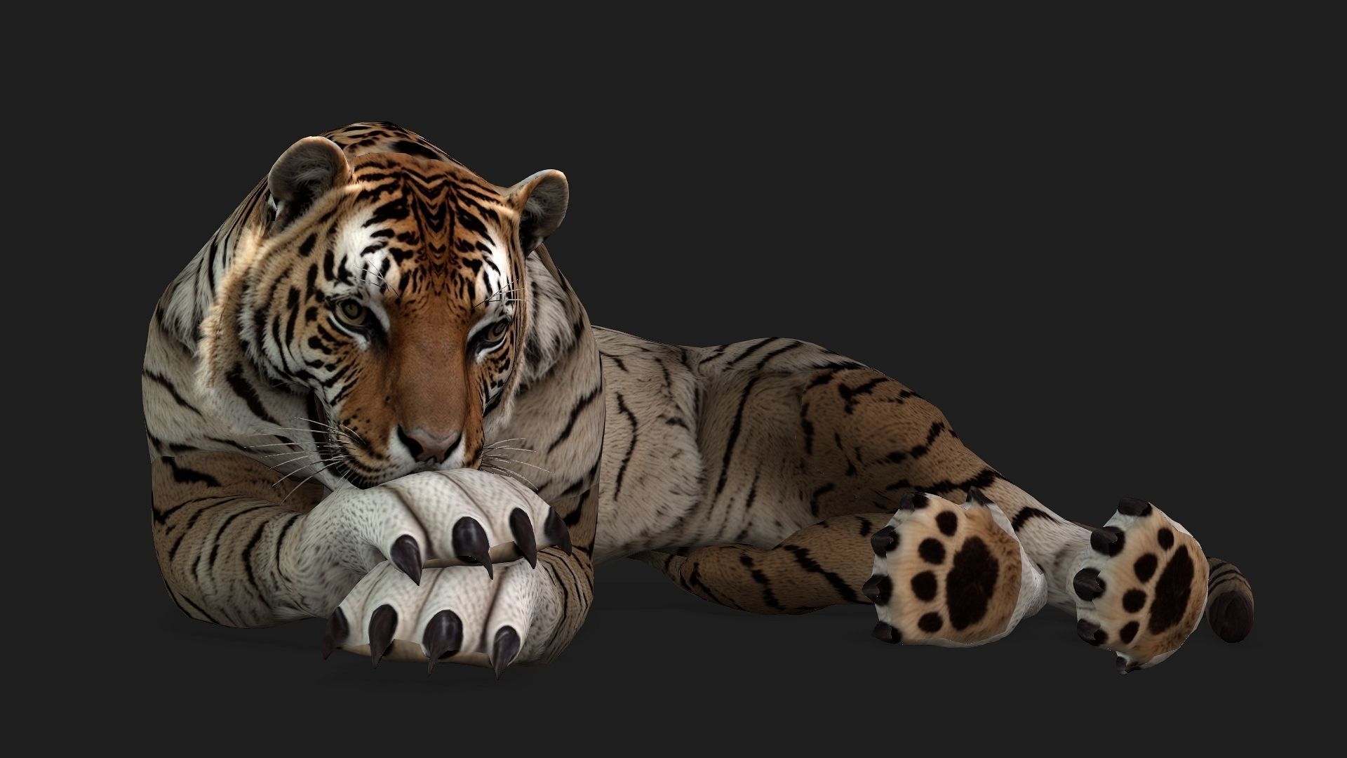 Tiger A3 3D model_3