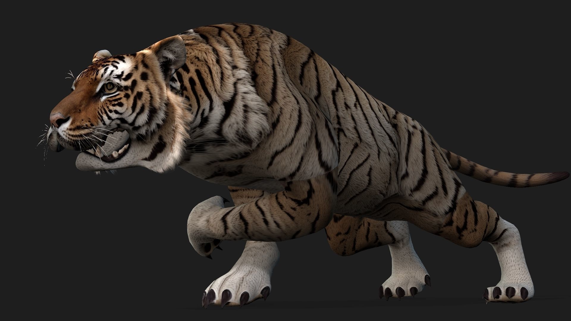 Tiger A3 3D model_16