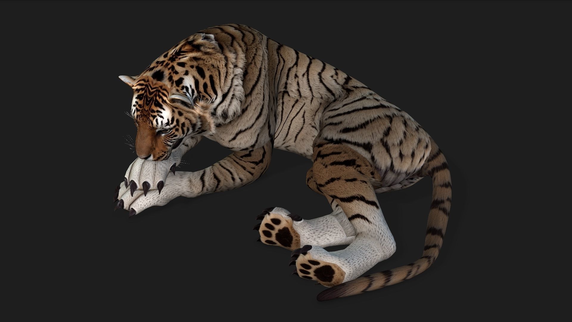 Tiger A3 3D model_4