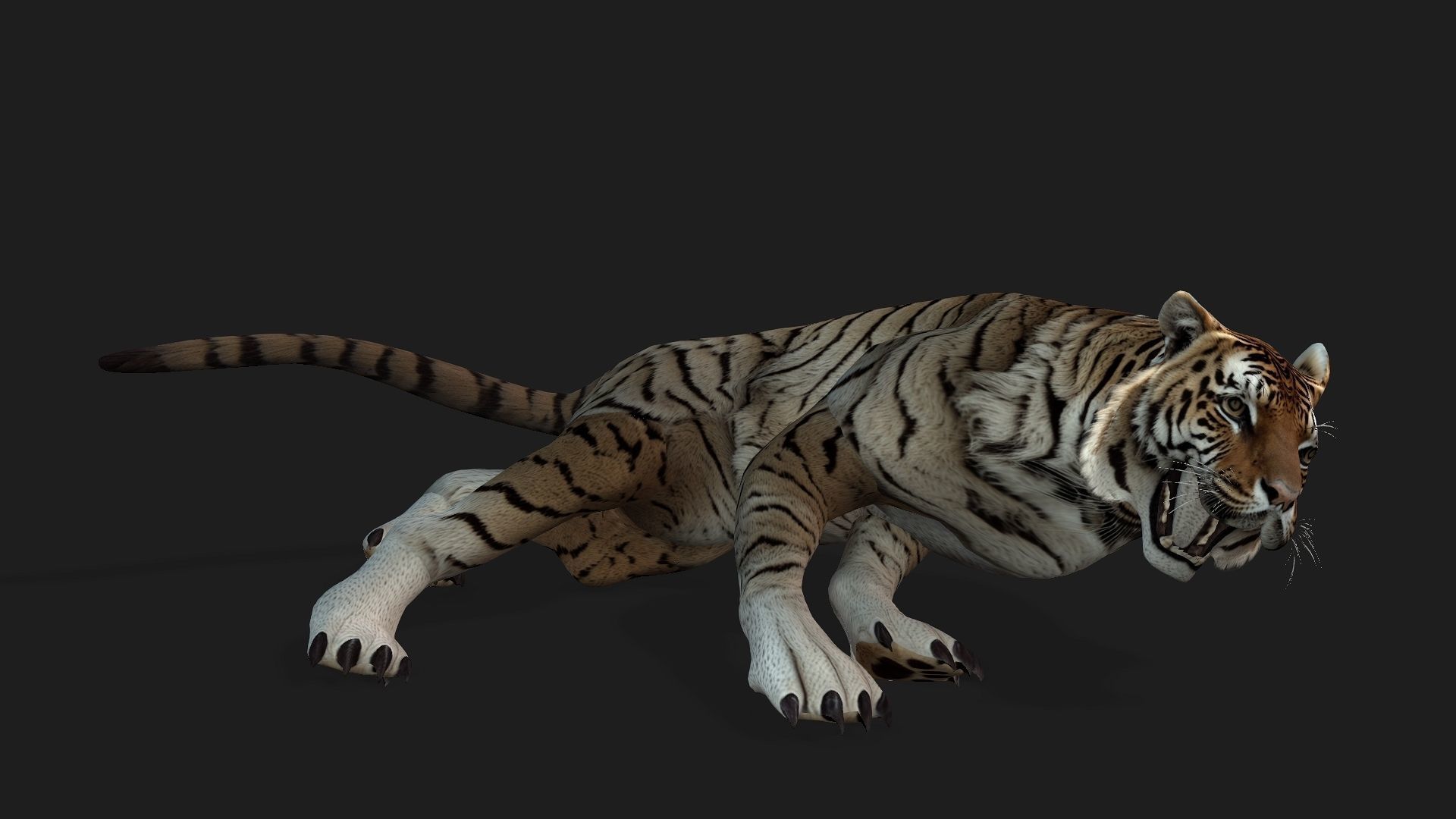 Tiger A3 3D model_18