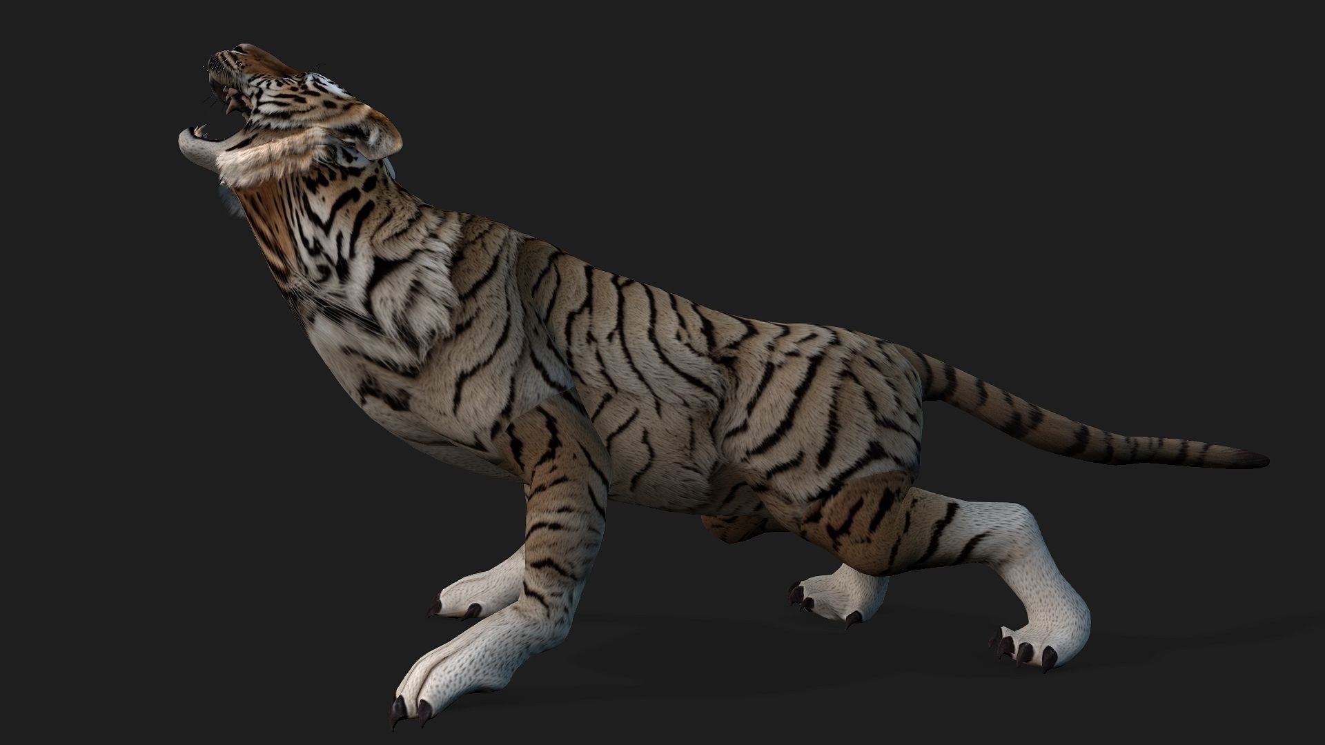 Tiger A3 3D model_5