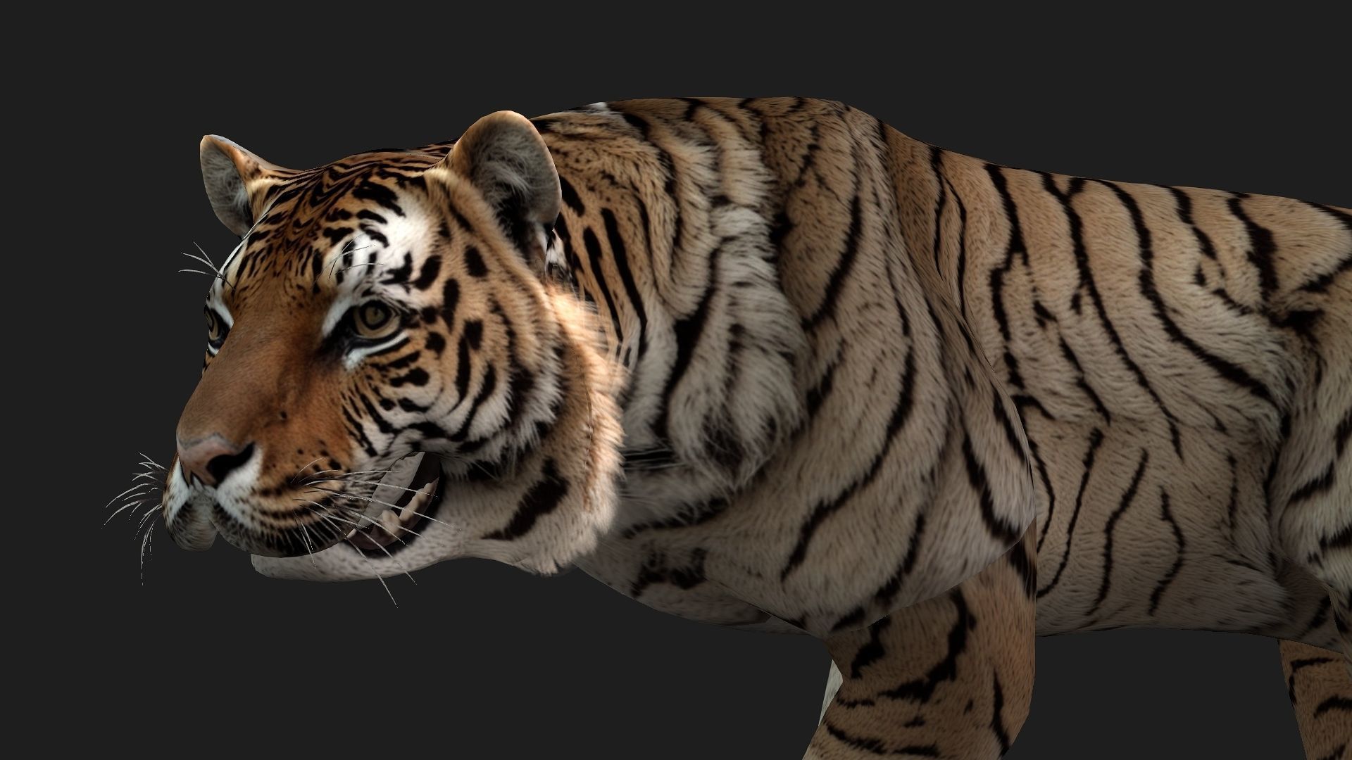 Tiger A3 3D model_11