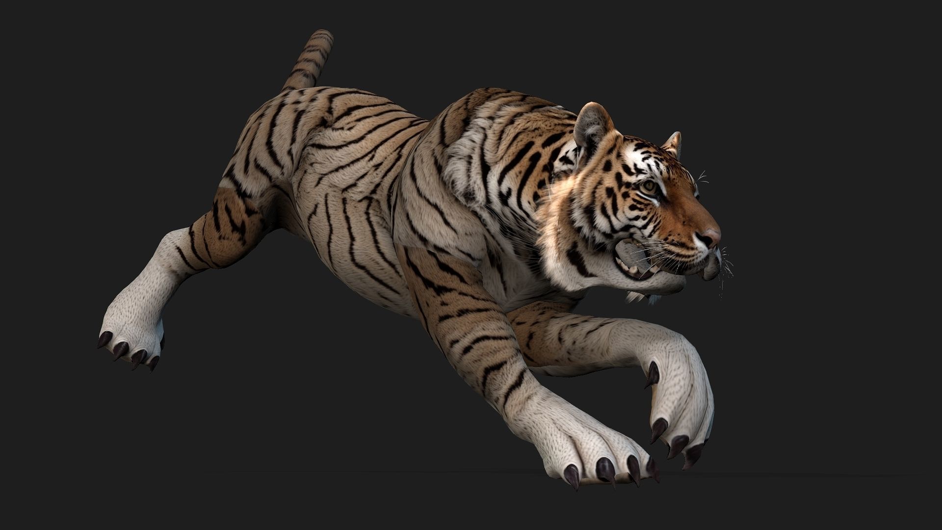 Tiger A3 3D model_7