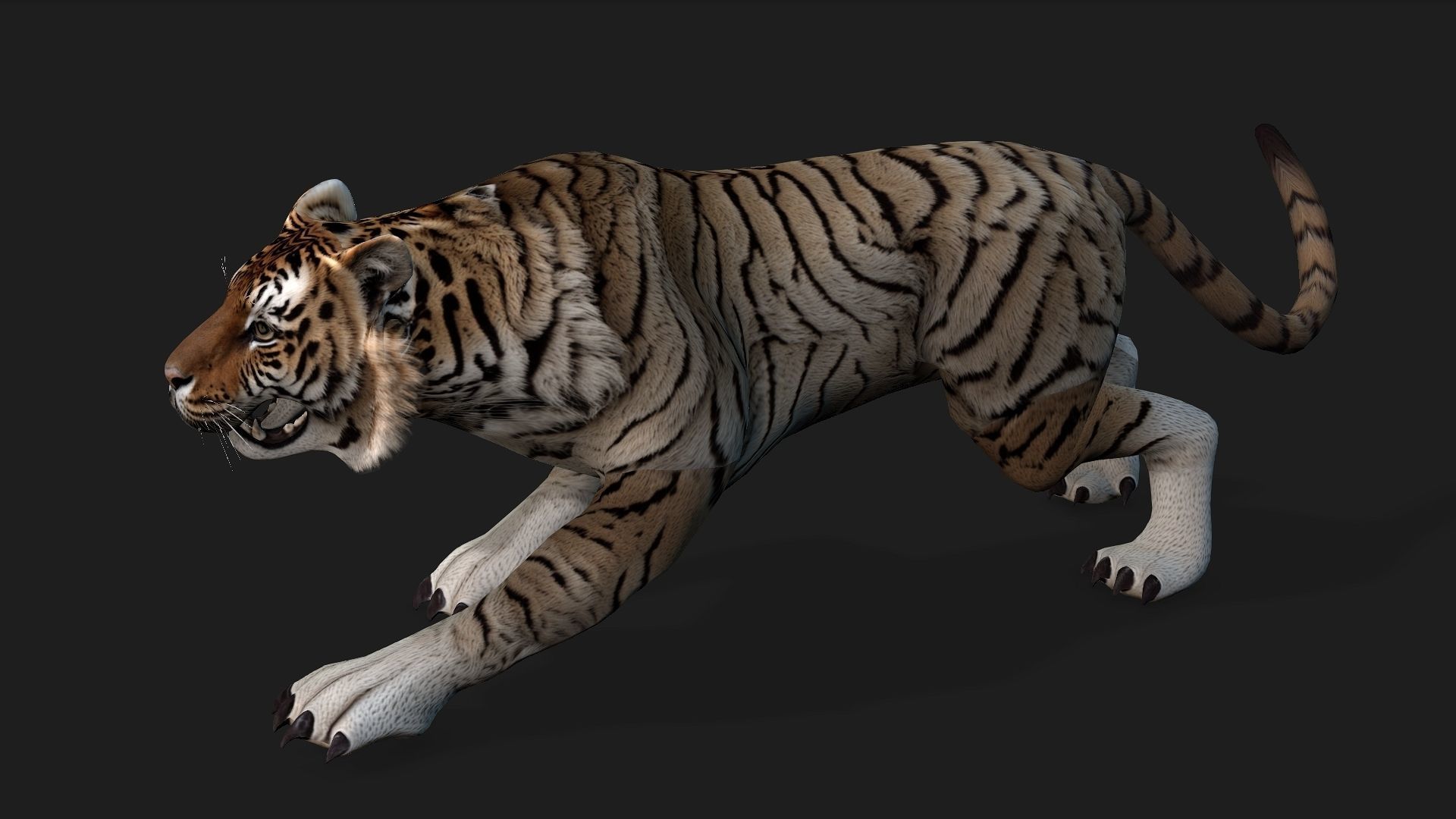 Tiger A3 3D model_17