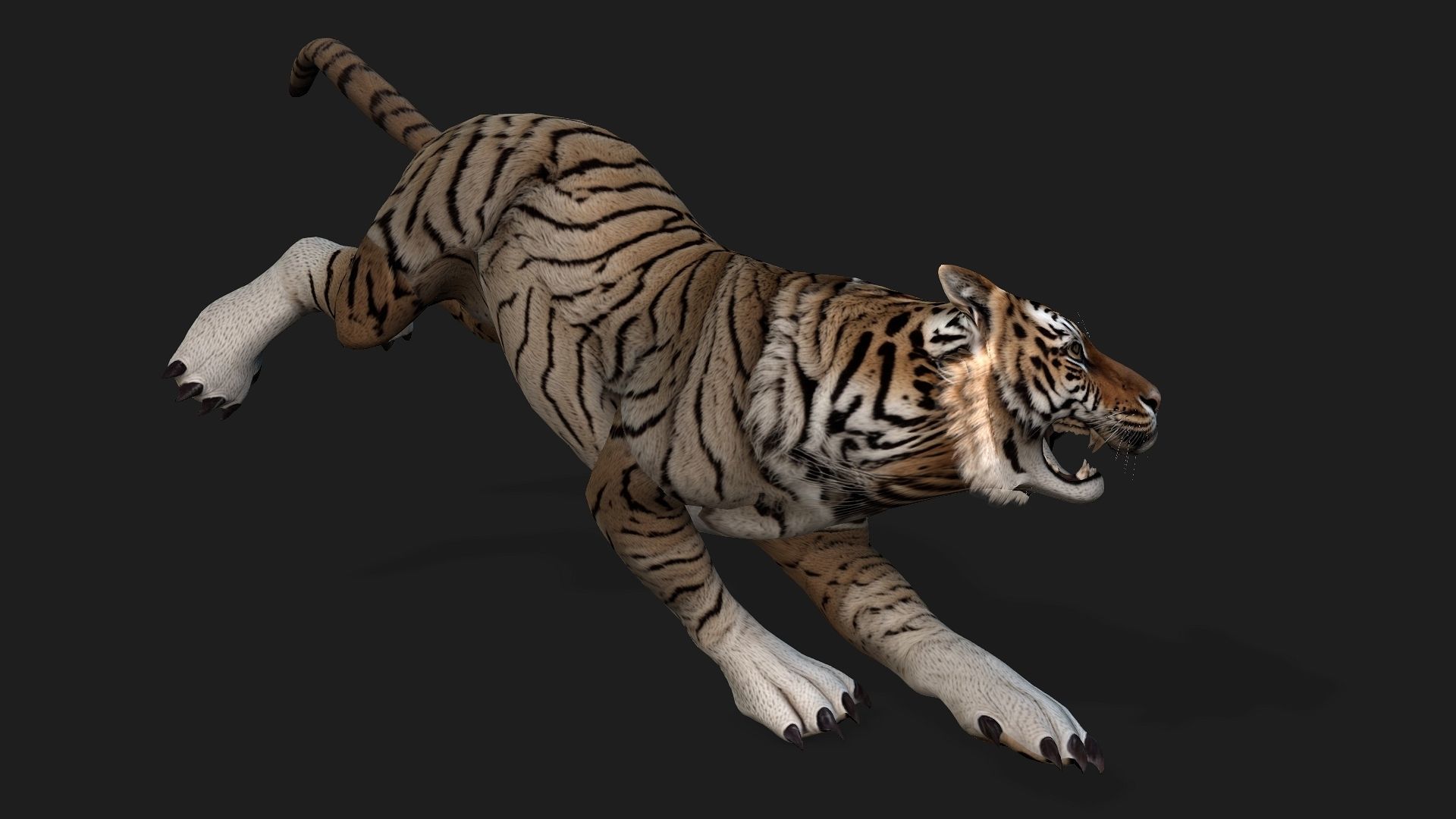 Tiger A3 3D model_10