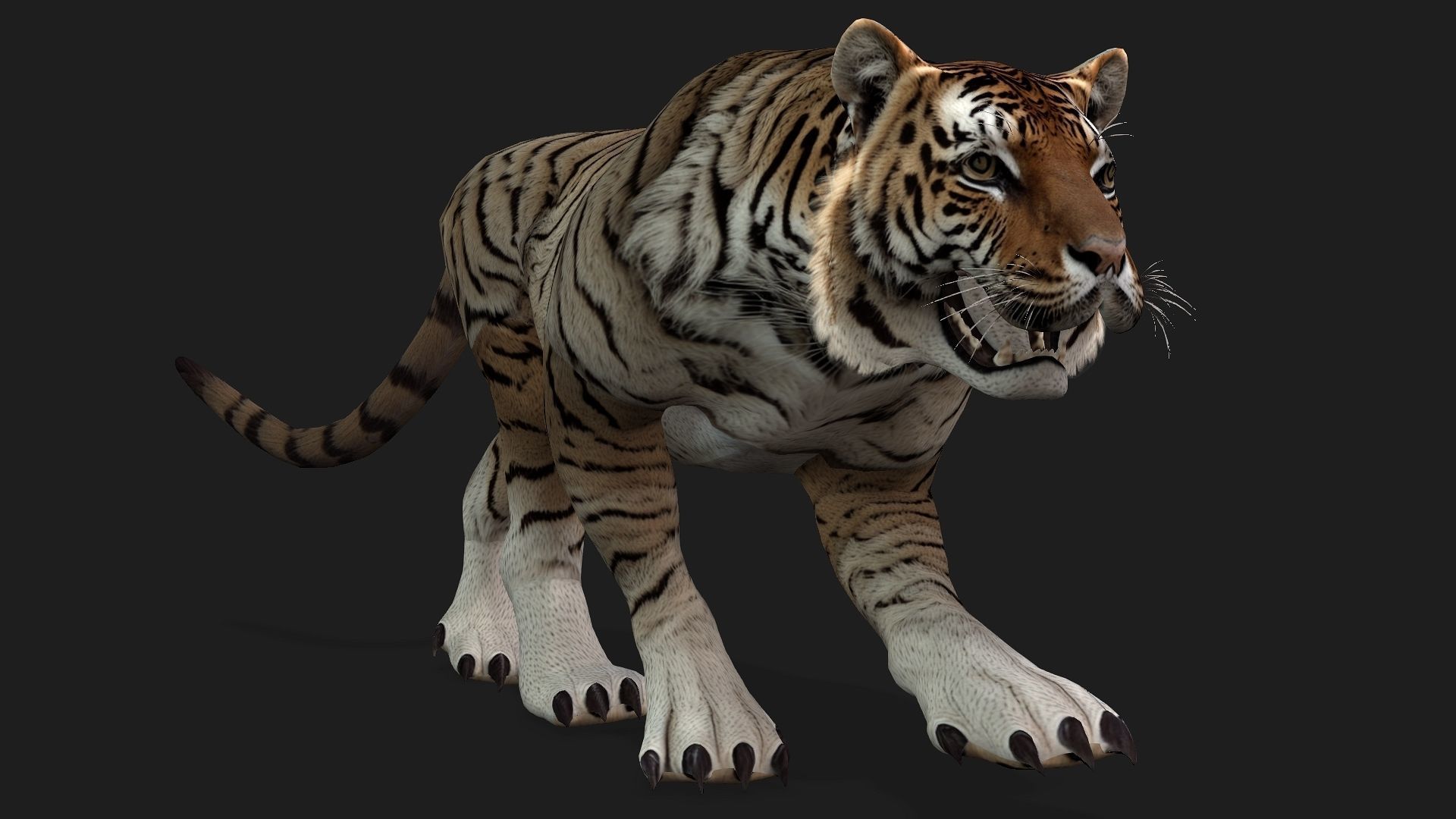 Tiger A3 3D model_12