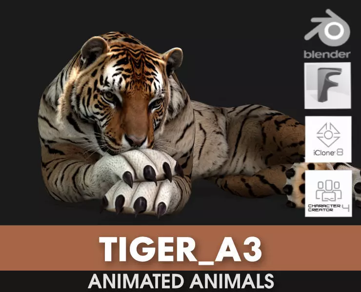 Tiger A3 3D model_0