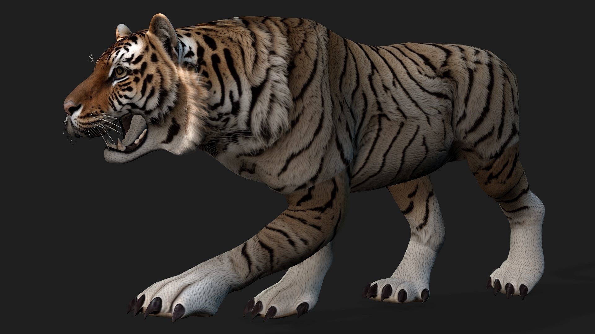 Tiger A3 3D model_2
