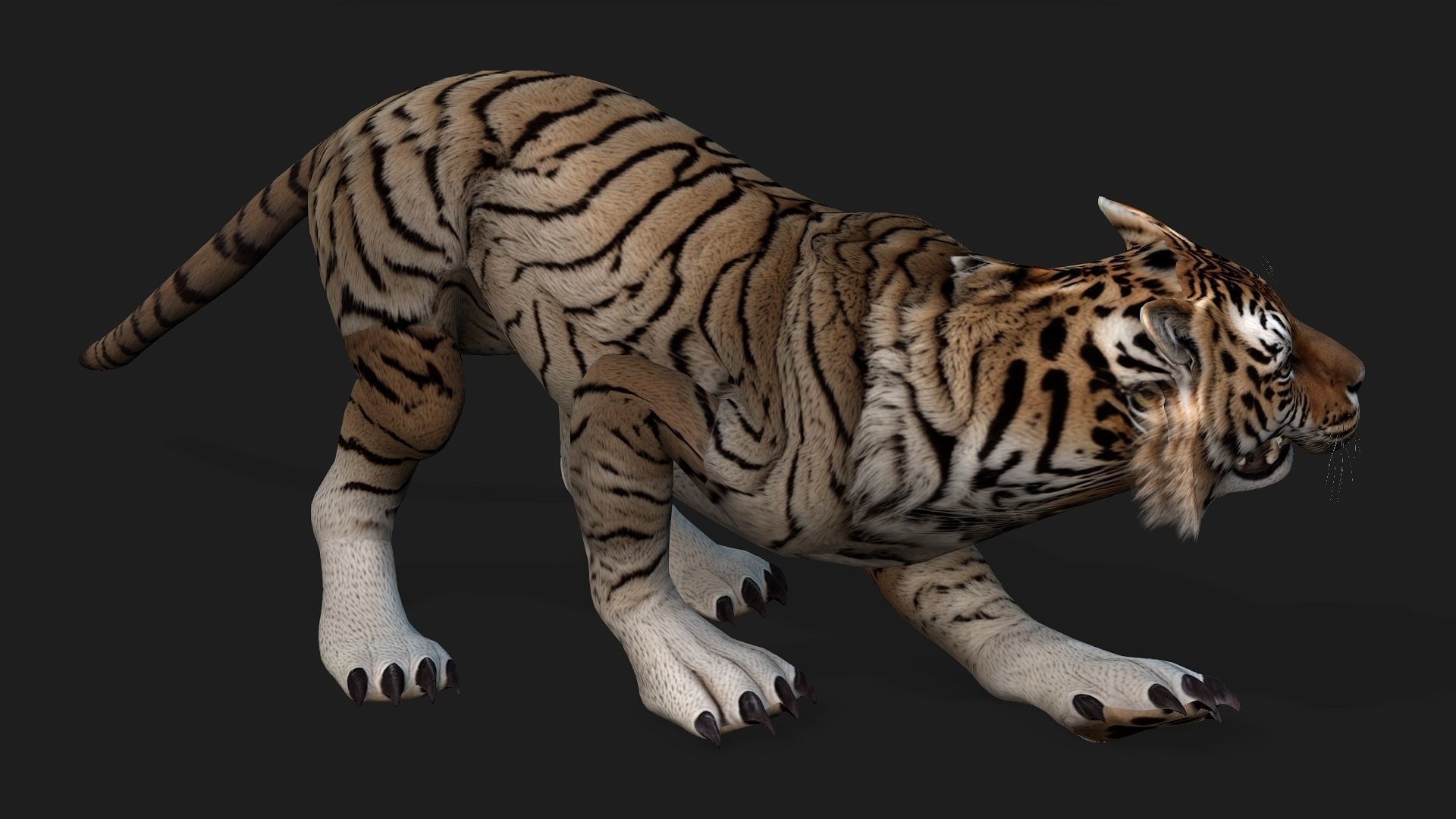 Tiger A3 3D model_8