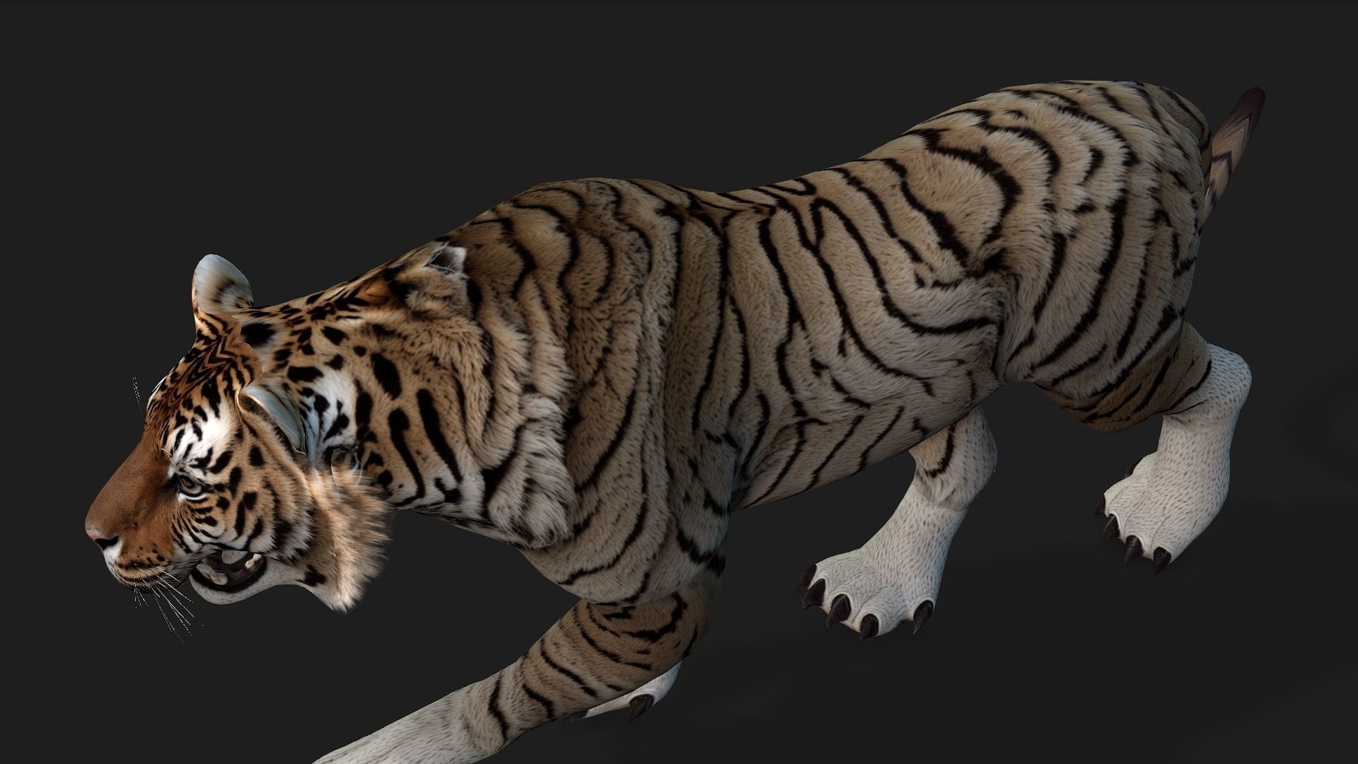 Tiger A3 3D model_13