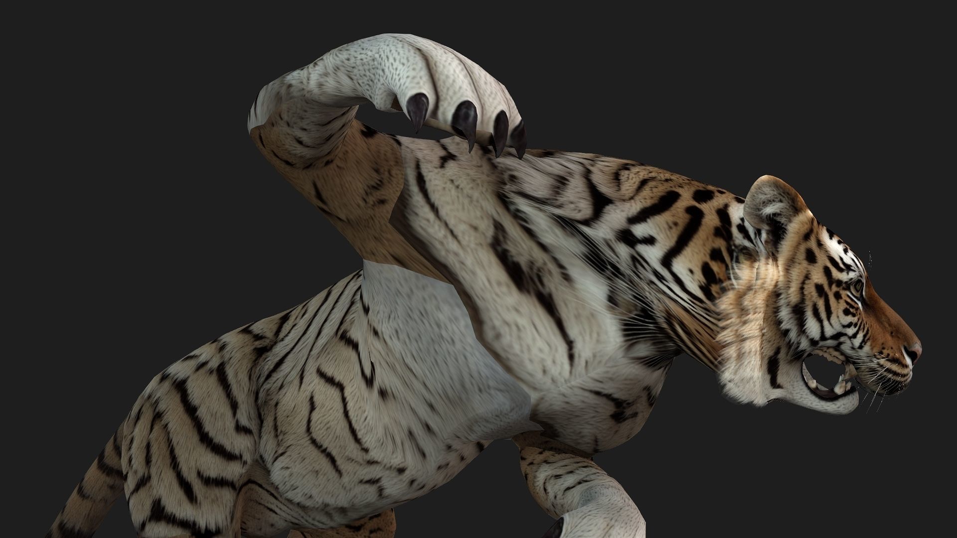 Tiger A3 3D model_15