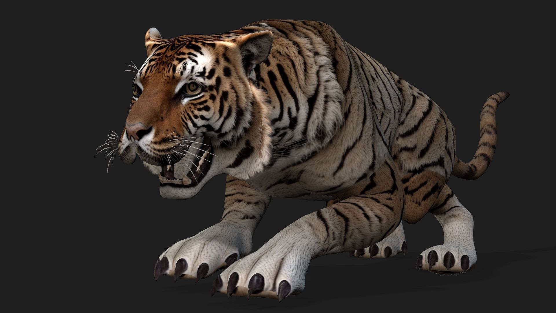 Tiger A3 3D model_14