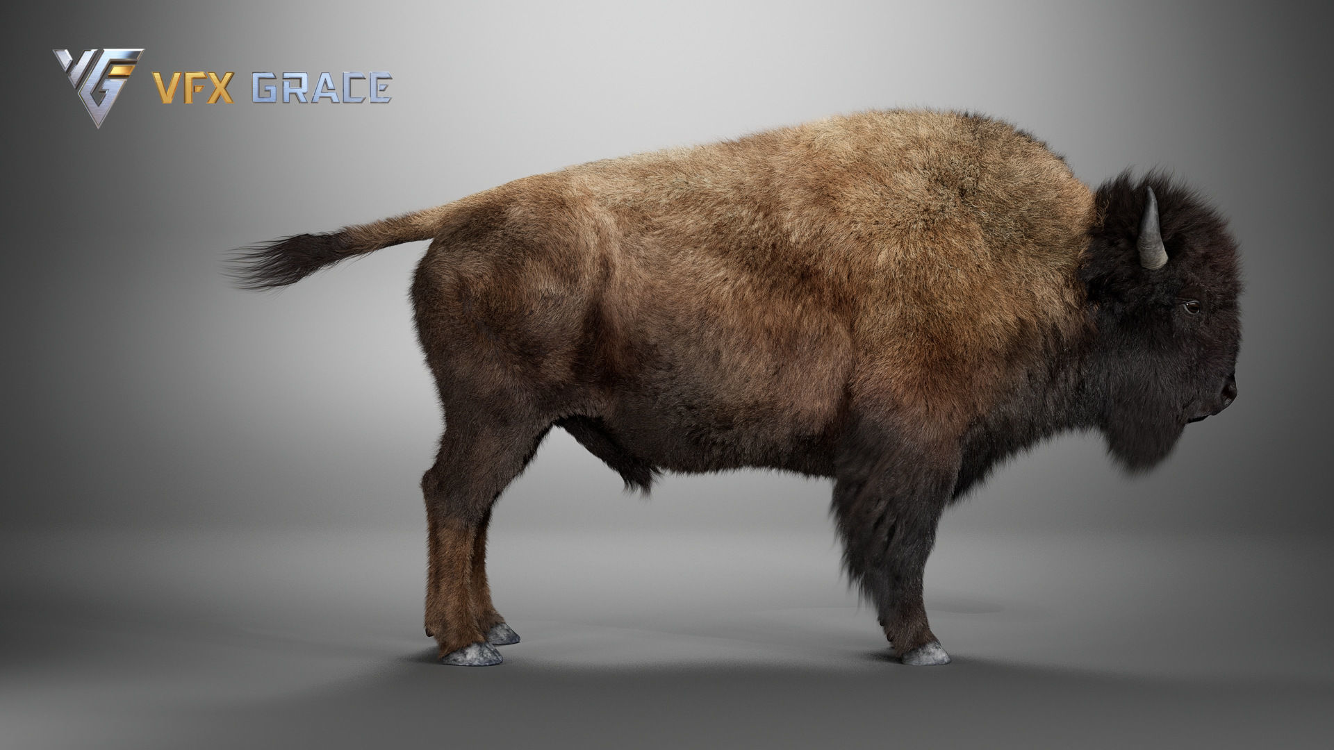 Bison Male UE Character Asset 3D model_15