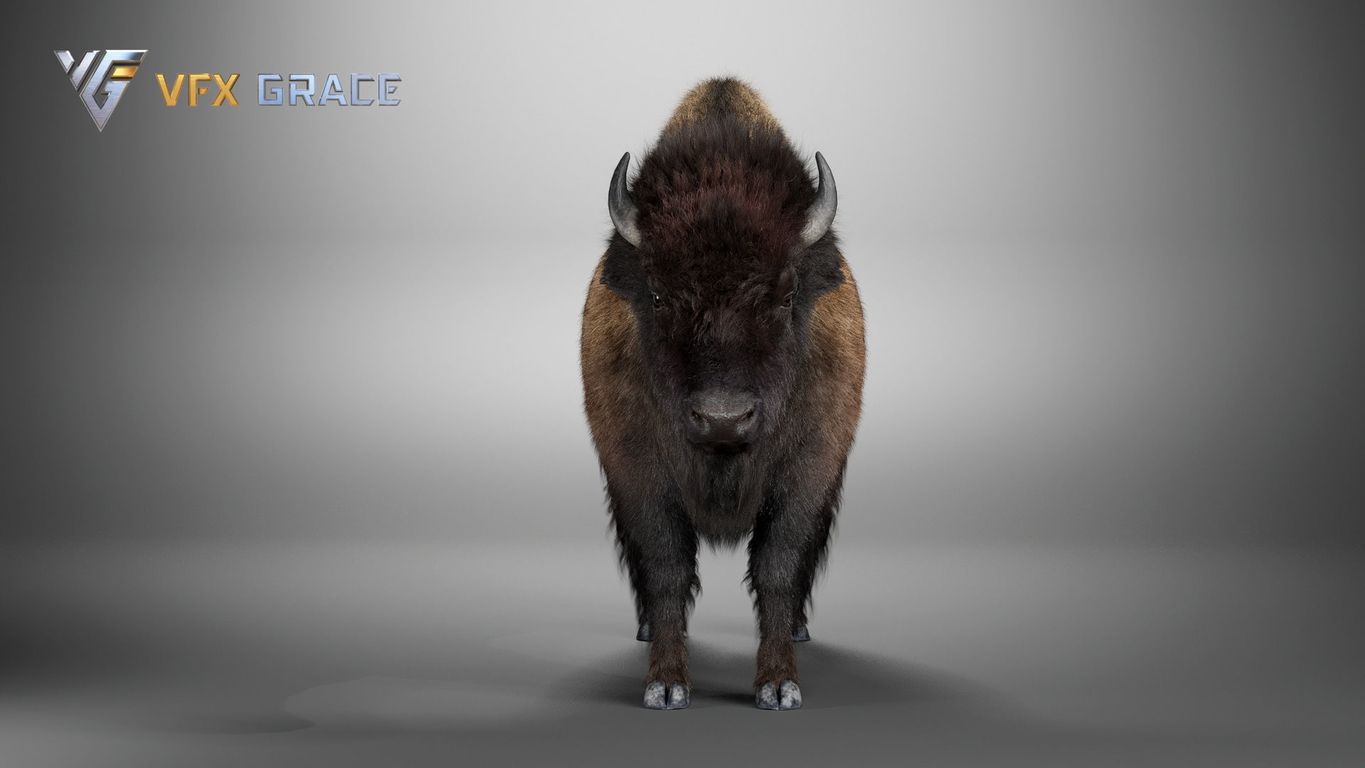 Bison Male UE Character Asset 3D model_11