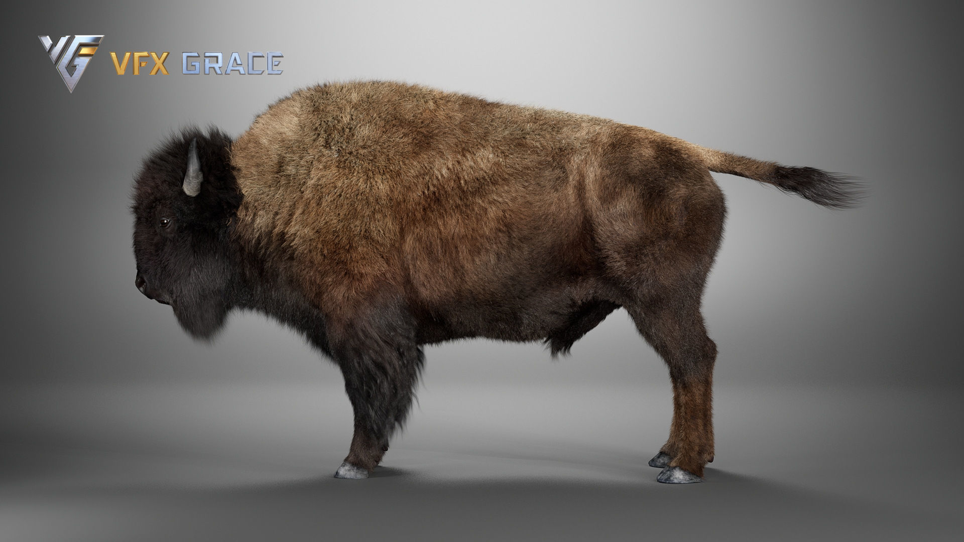 Bison Male UE Character Asset 3D model_13