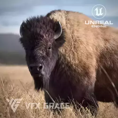 Bison Male  UE Character Asset