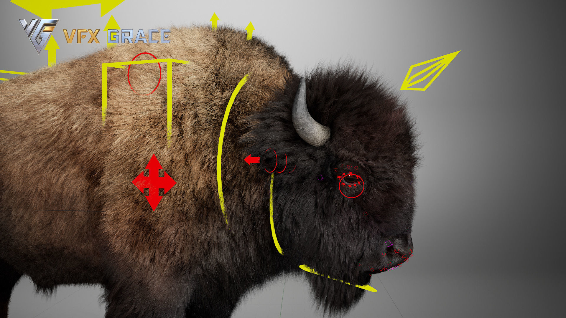 Bison Male UE Character Asset 3D model_18