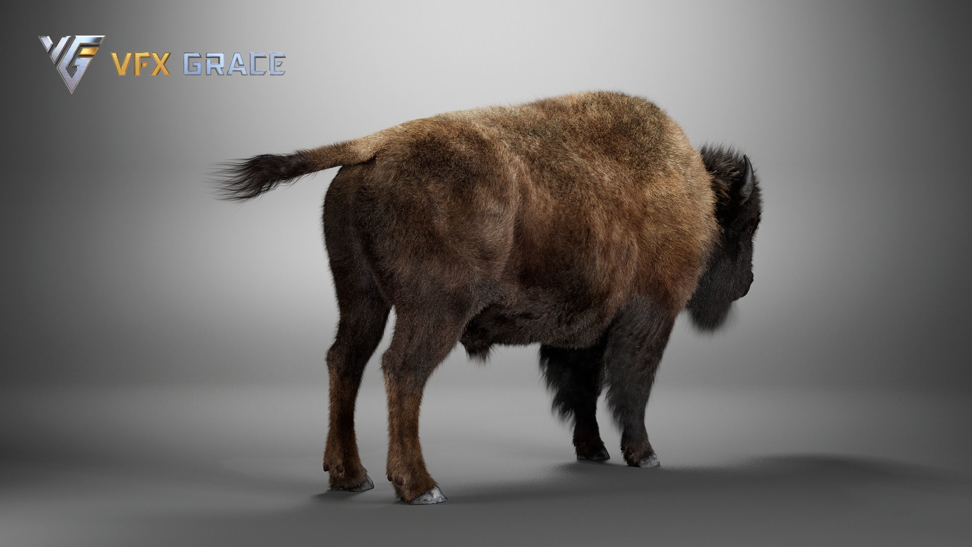 Bison Male UE Character Asset 3D model_16