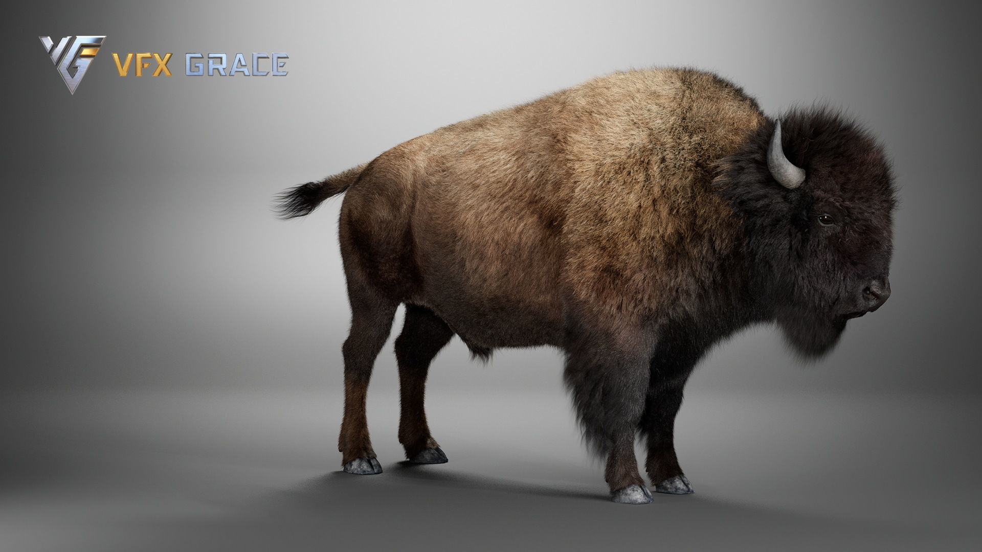 Bison Male UE Character Asset 3D model_14