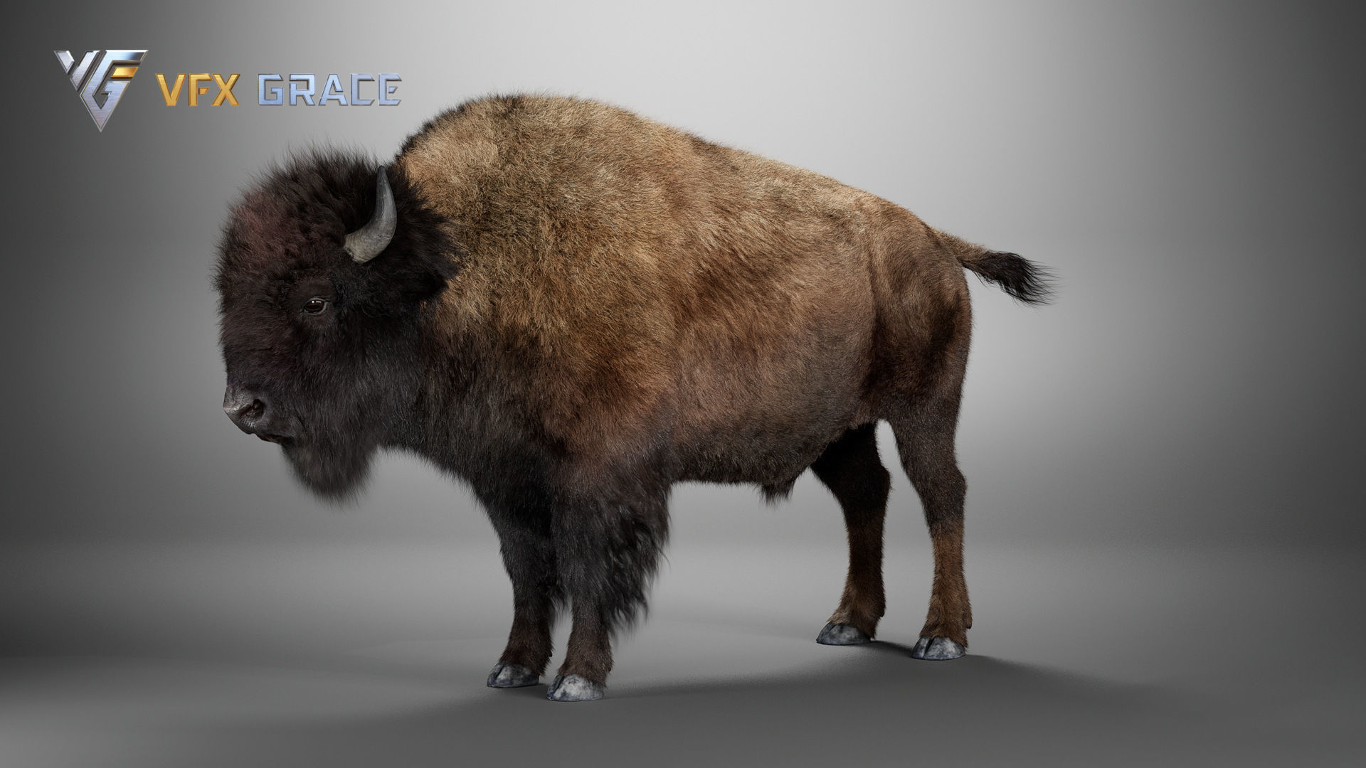 Bison Male UE Character Asset 3D model_12