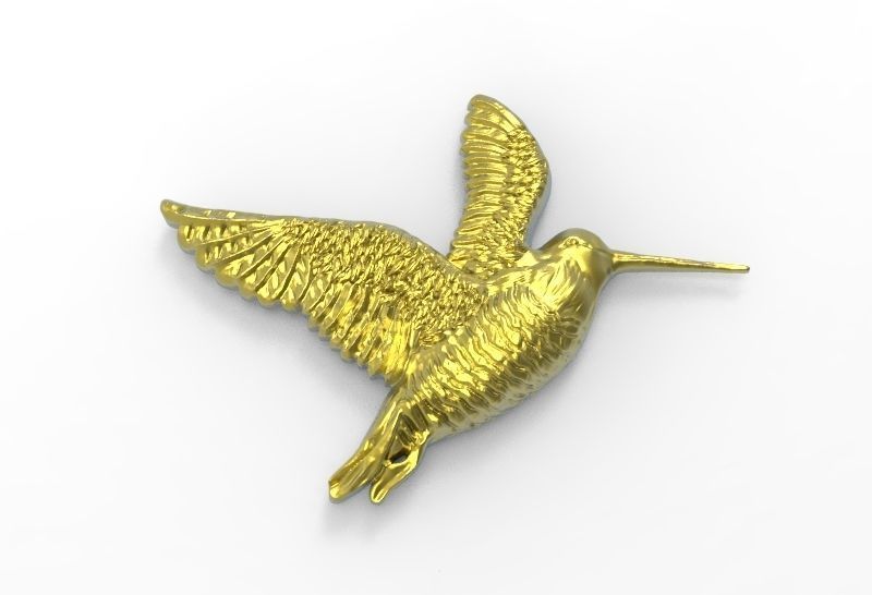 Woodcock 3d model relief  3D print model_1