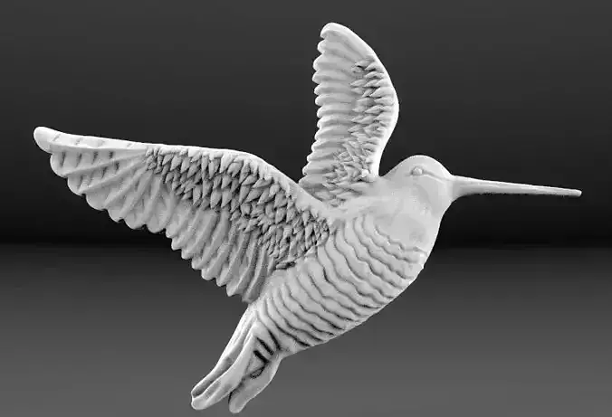 Woodcock 3d model relief 