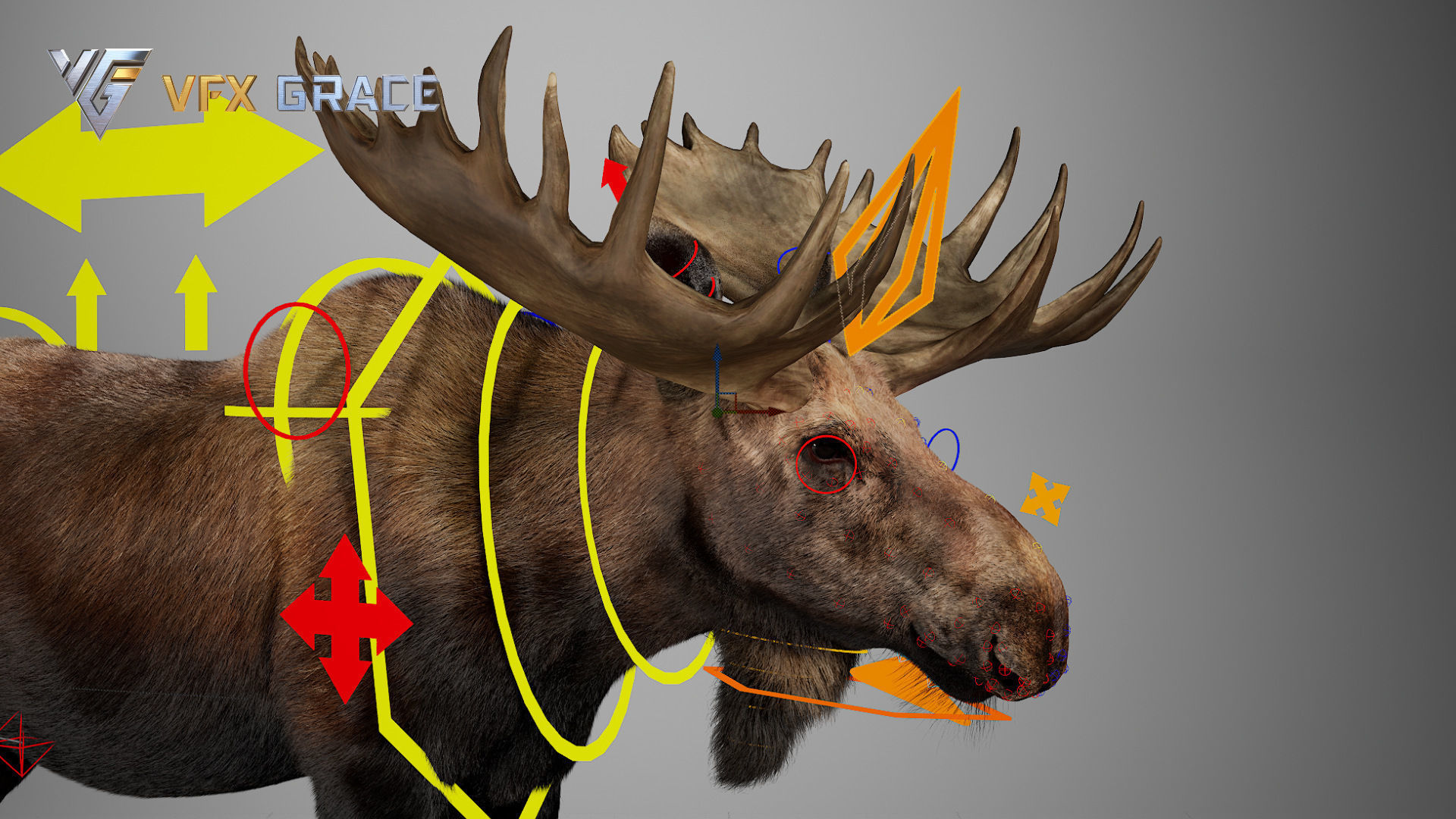 Moose Male UE Character Asset 3D model_21