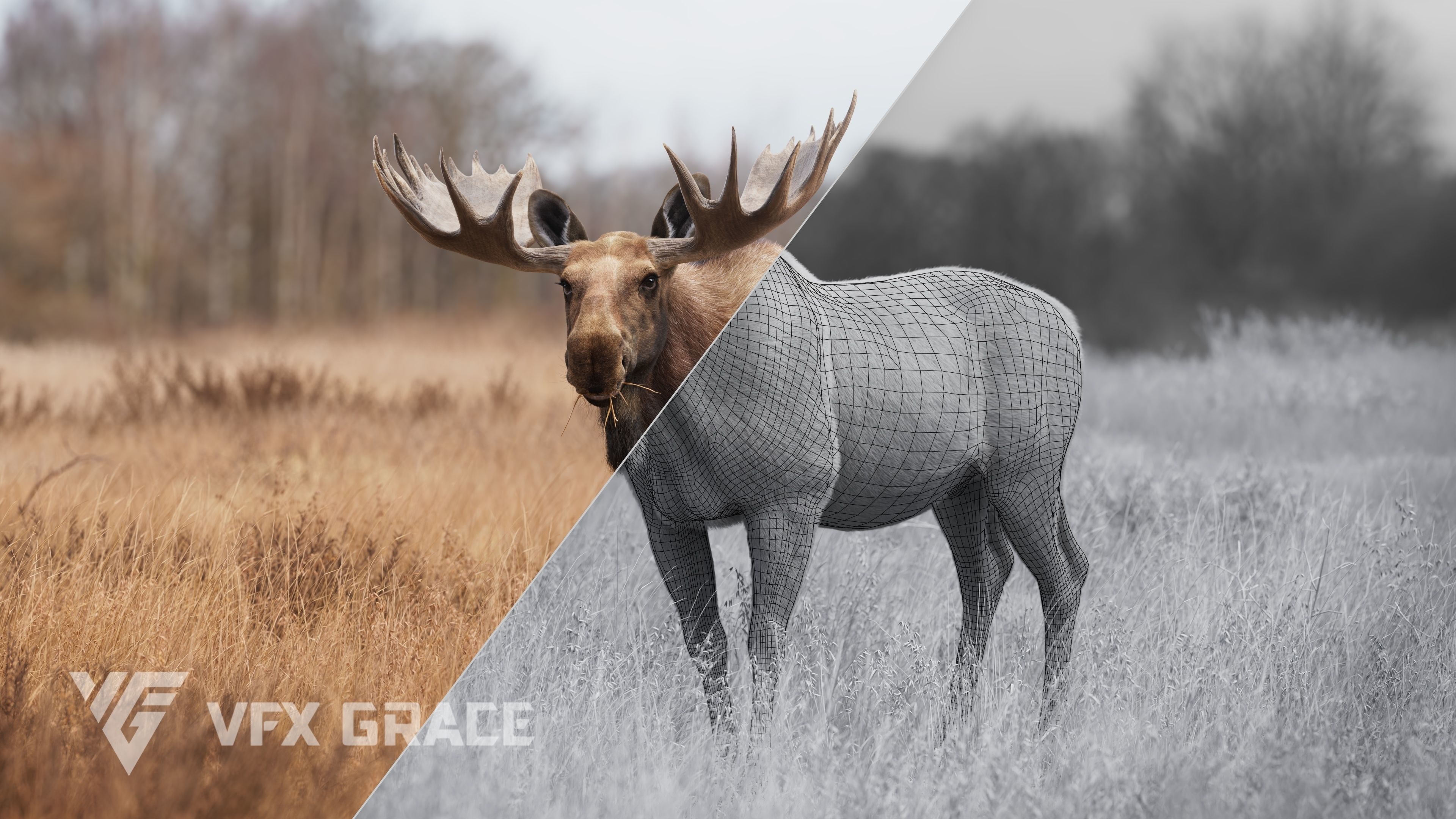 Moose Male UE Character Asset 3D model_8