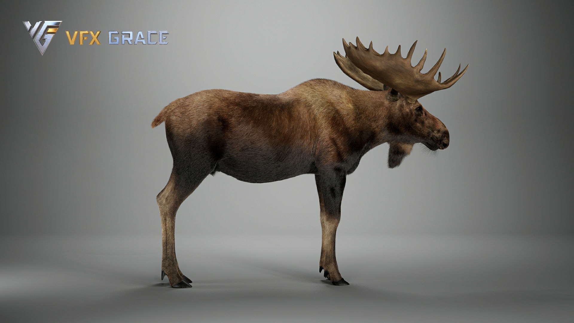 Moose Male UE Character Asset 3D model_14