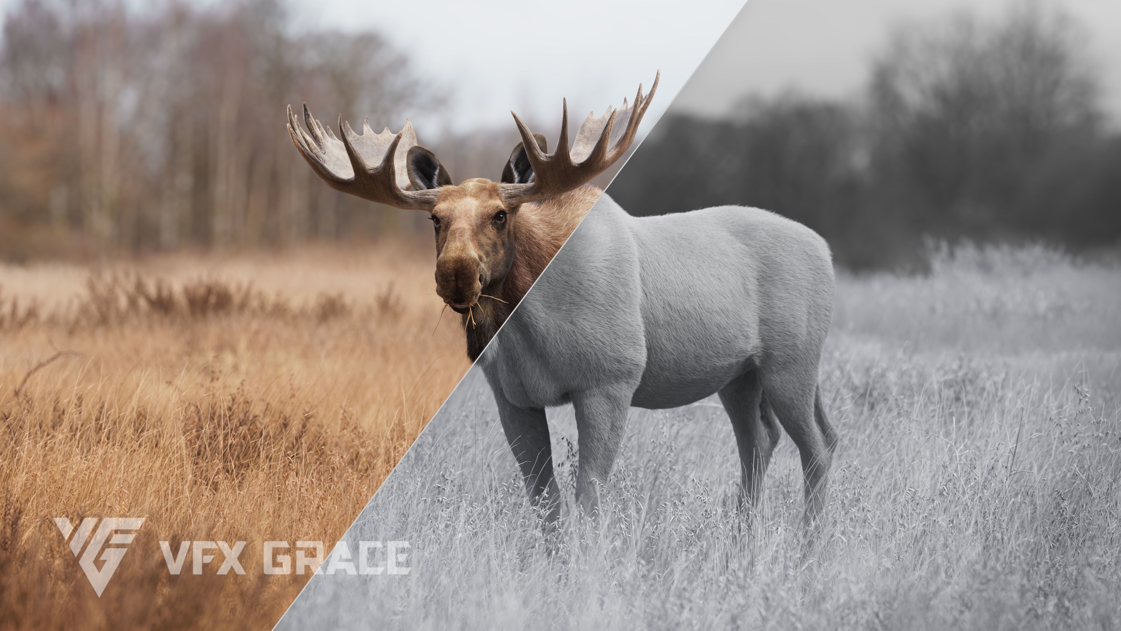 Moose Male UE Character Asset 3D model_7