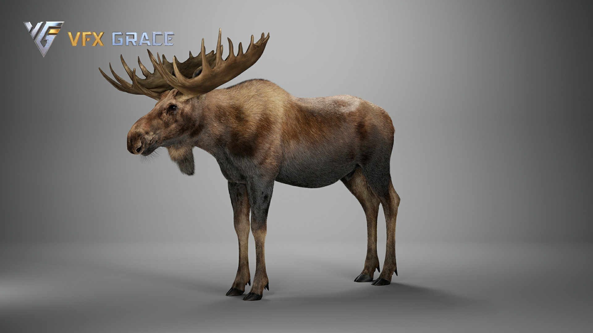 Moose Male UE Character Asset 3D model_13