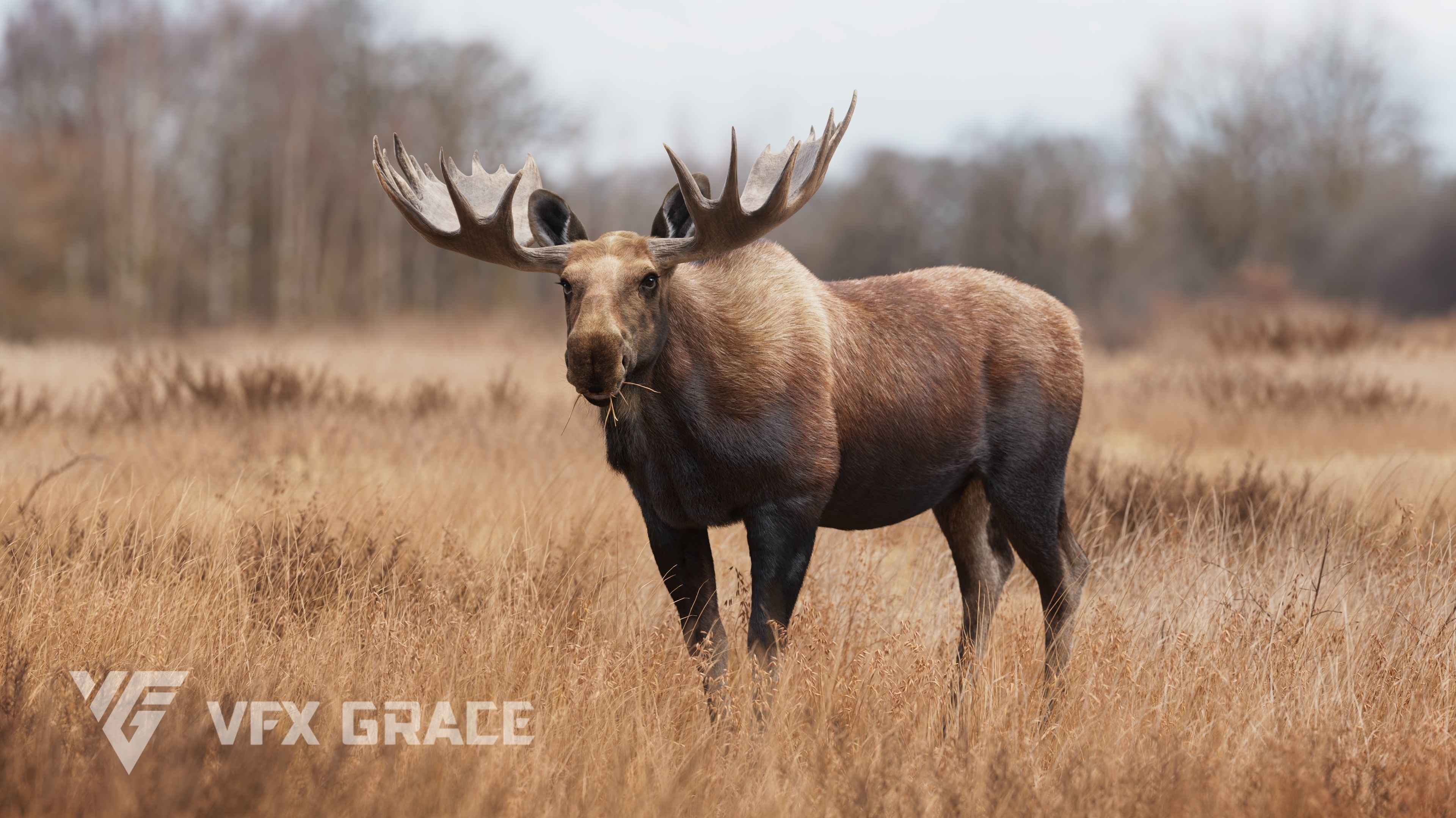 Moose Male UE Character Asset 3D model_6