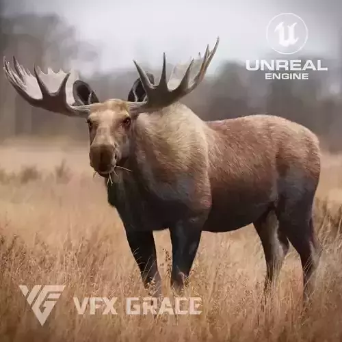Moose Male UE Character Asset 3D model
