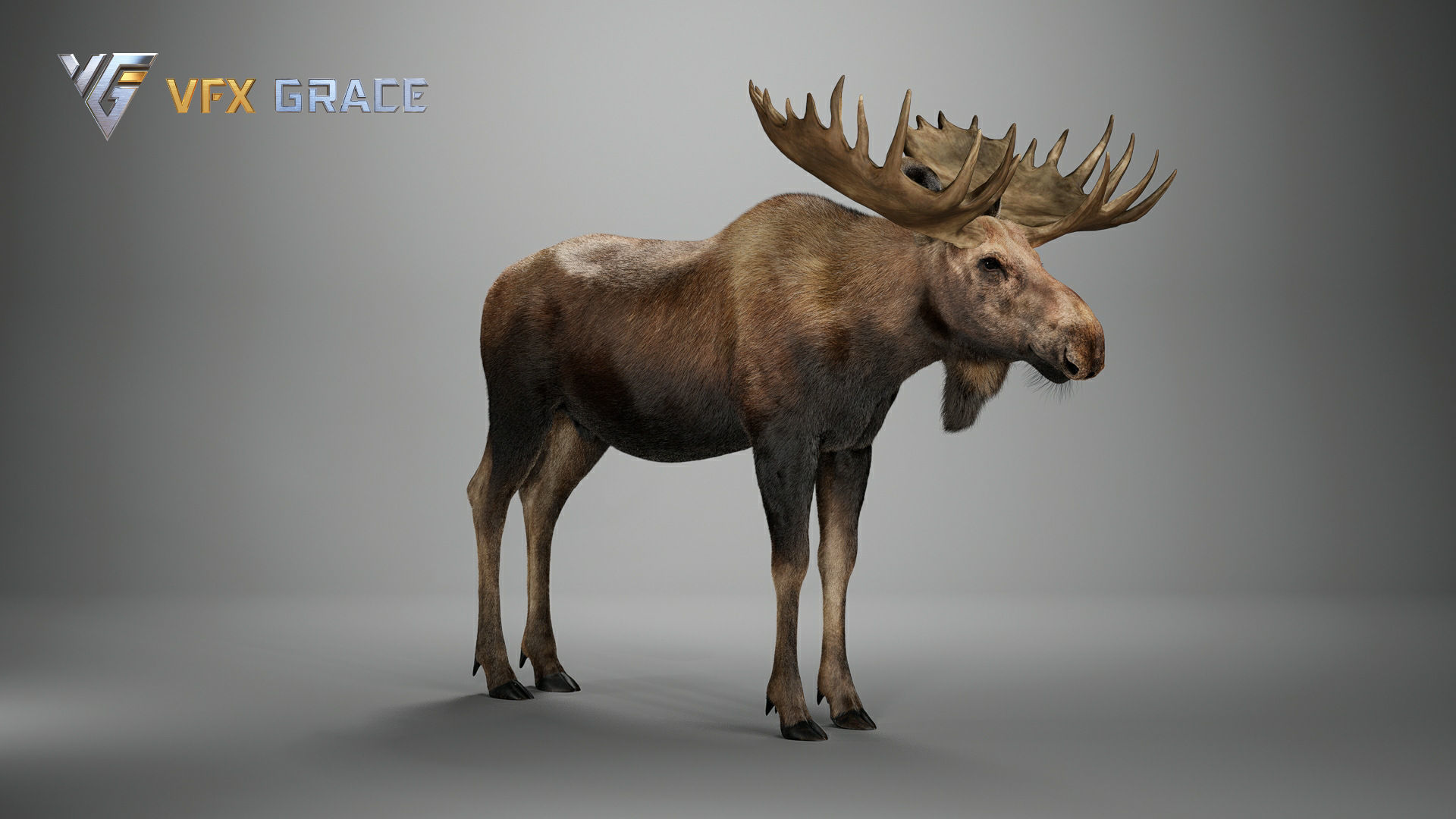 Moose Male UE Character Asset 3D model_15