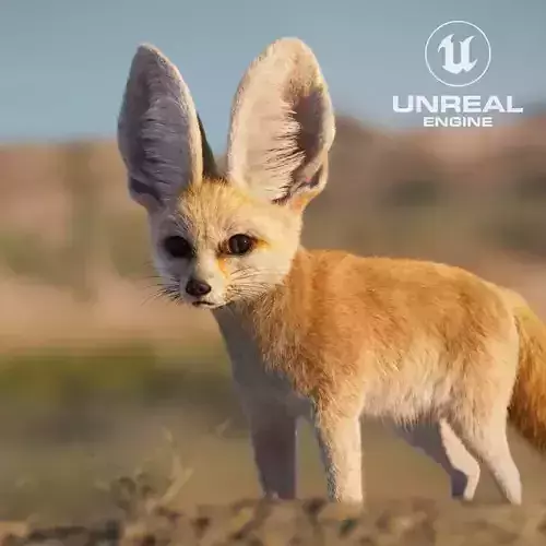 Fennec  UE Character Asset 3D model