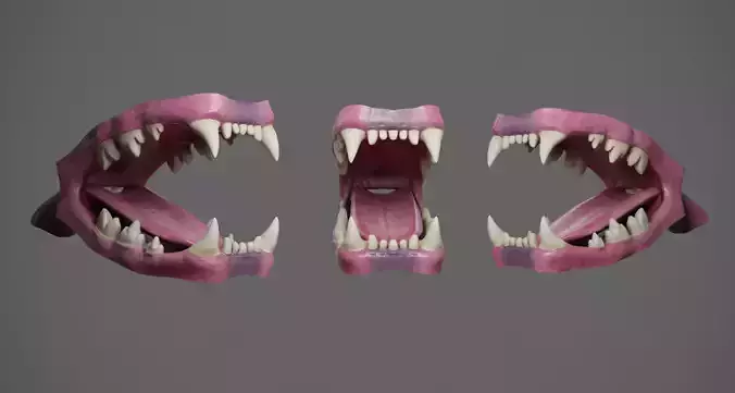 Realistic High-Poly Lion Mouth 3D Model