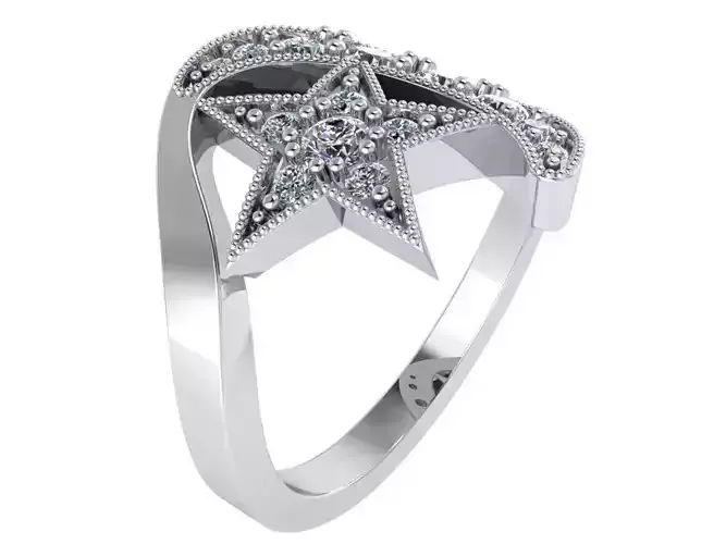 Star Moon Ring 0832