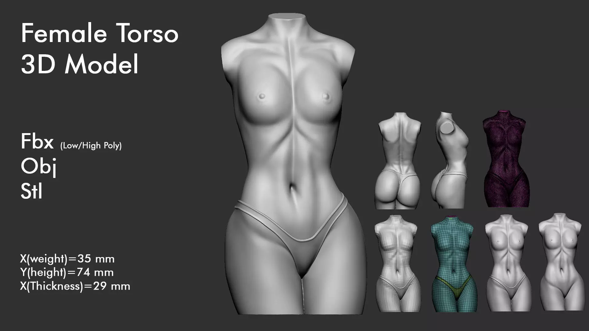 Female Torso 8 3D print model