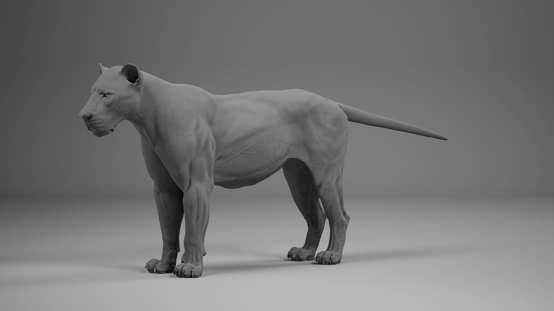 Male Lion  UE Character Asset 3D model_18