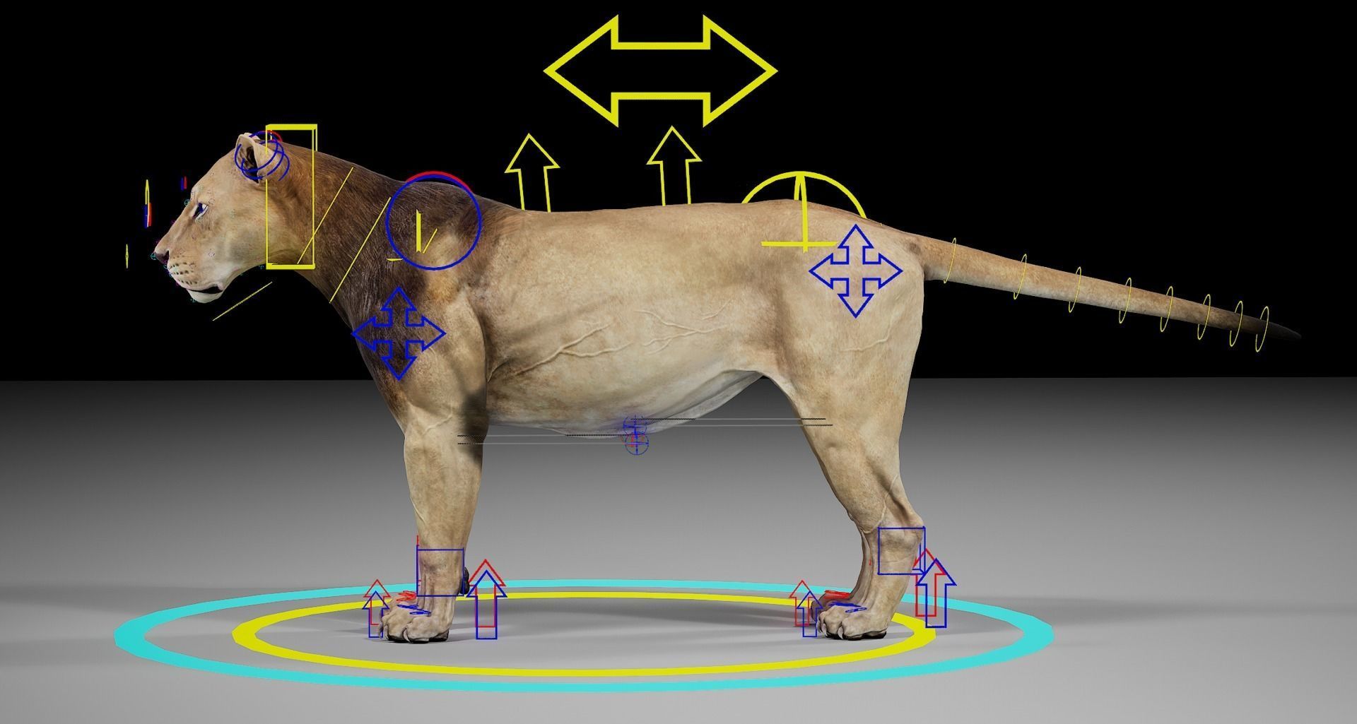 Male Lion  UE Character Asset 3D model_21