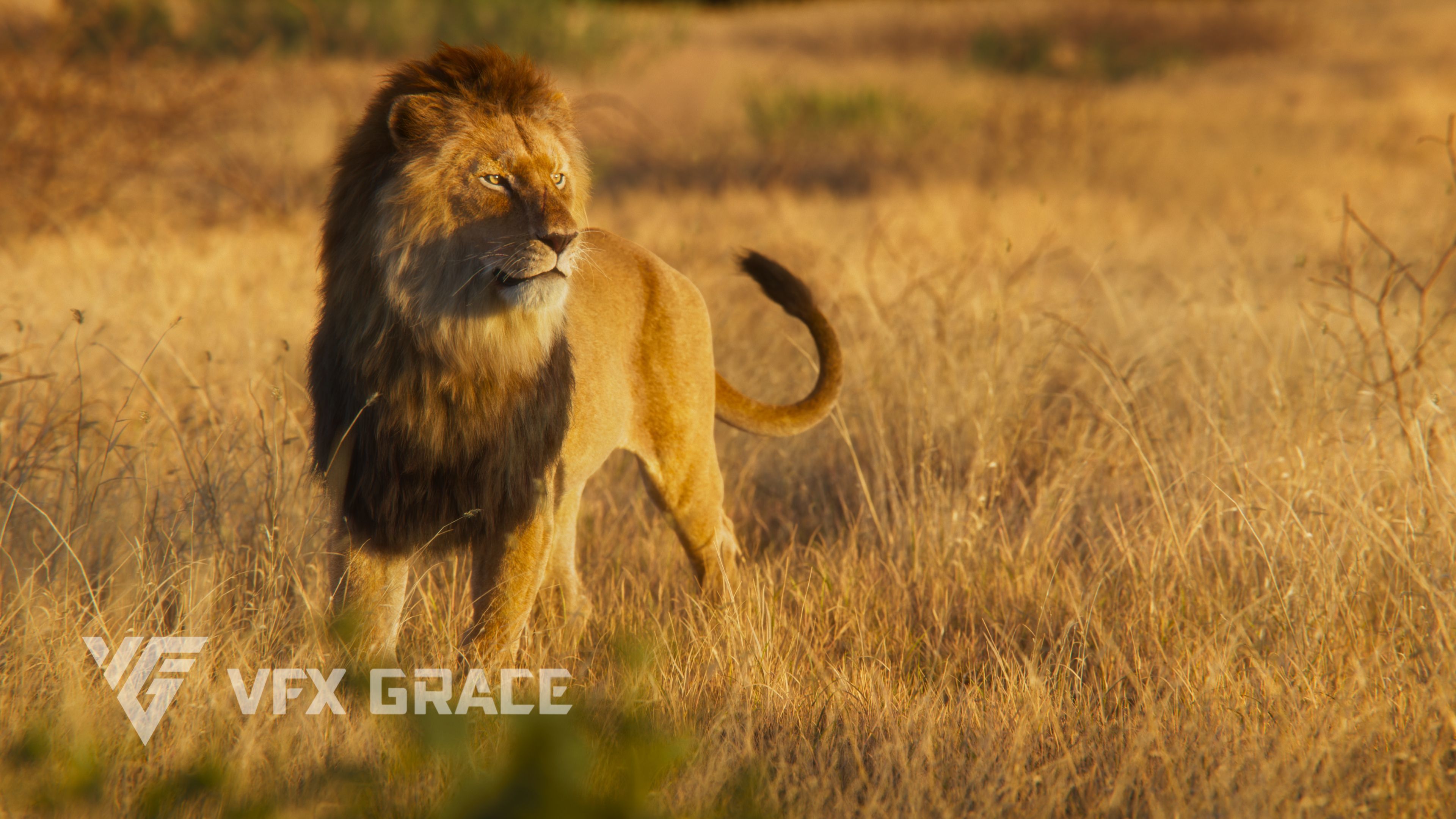 Male Lion  UE Character Asset 3D model_6