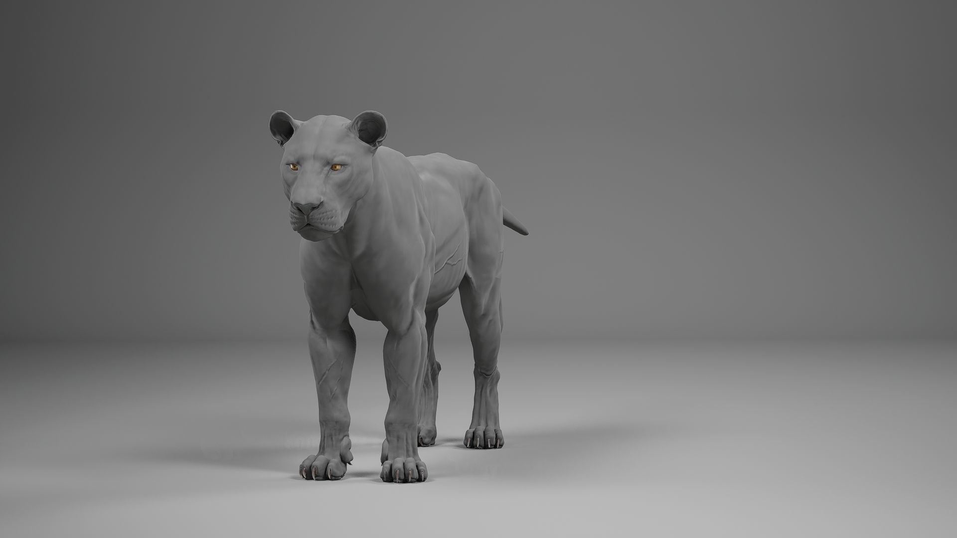 Male Lion  UE Character Asset 3D model_17