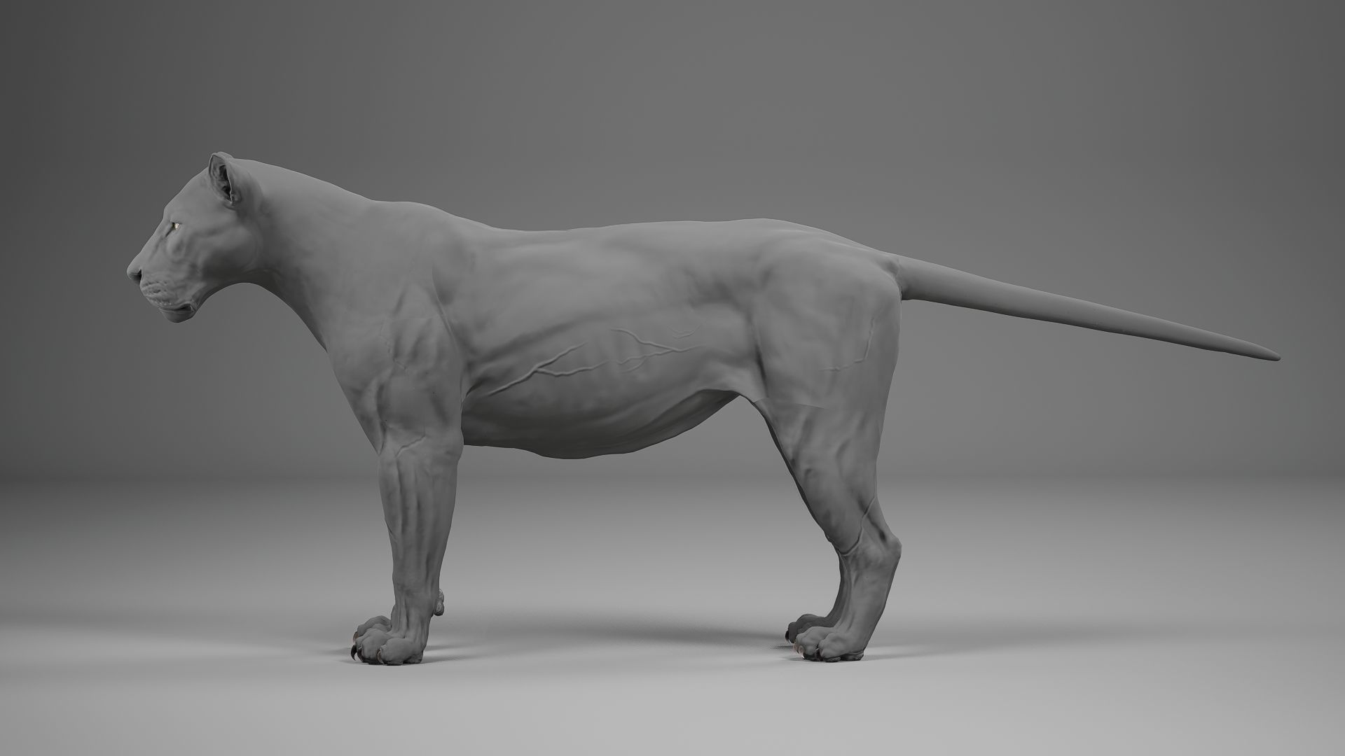 Male Lion  UE Character Asset 3D model_16