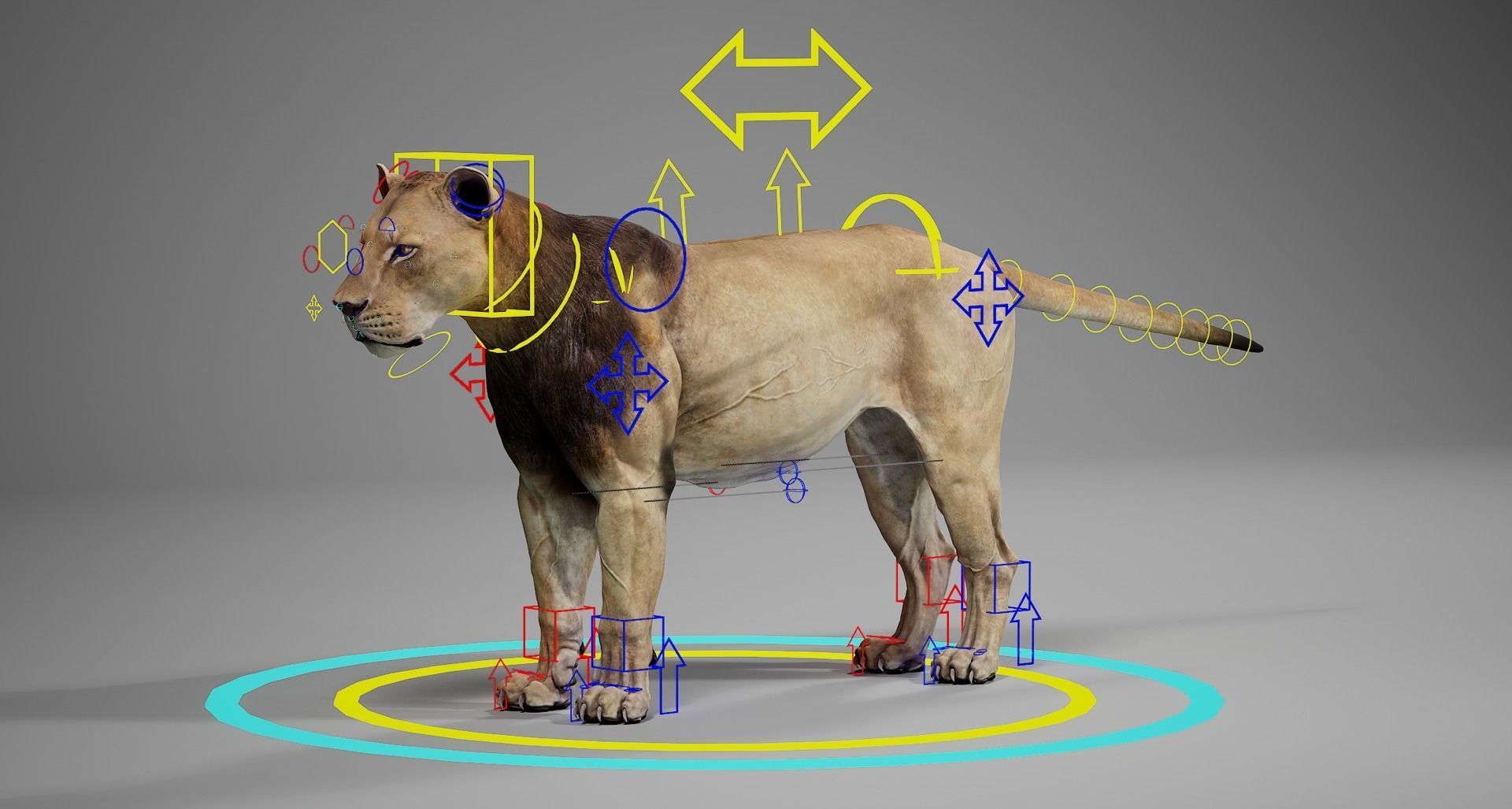 Male Lion  UE Character Asset 3D model_19