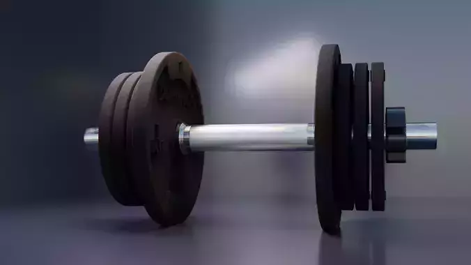 Dumbbell pair of dumbbells 3D model