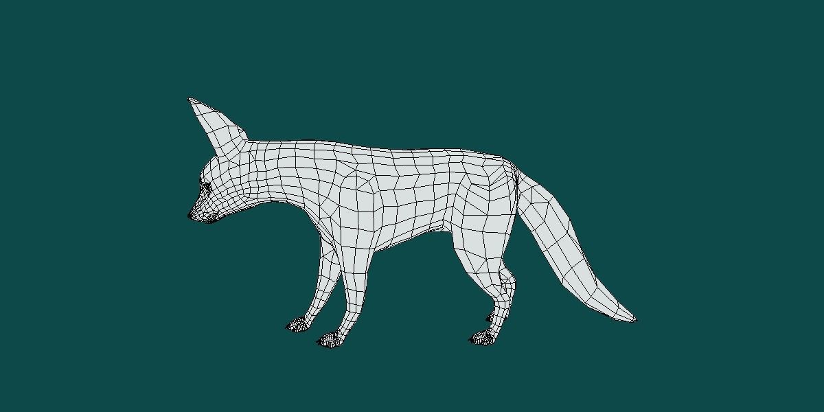 Bat Eared Fox Animal  Low-poly 3D model_9