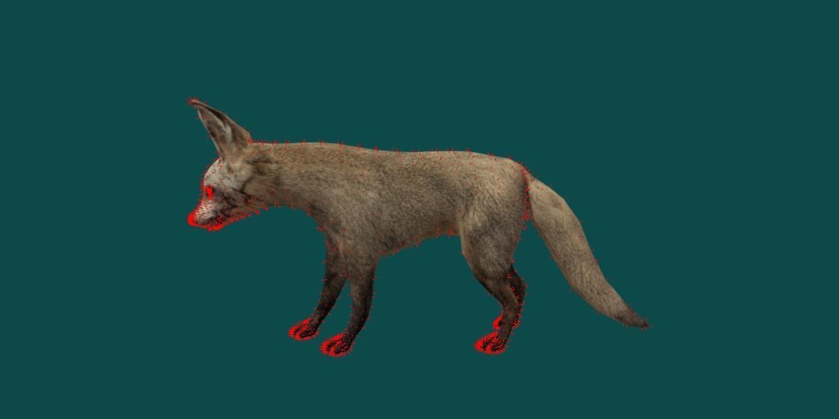 Bat Eared Fox Animal  Low-poly 3D model_10