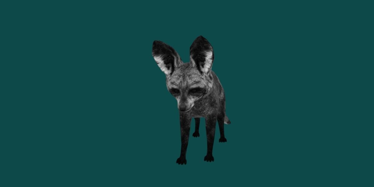 Bat Eared Fox Animal  Low-poly 3D model_18
