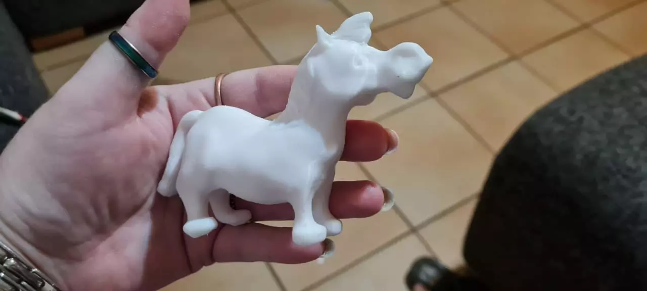 A PONY 3D print model_0